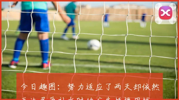 今日趣图：努力适应了两天却依然无法忍受补水时的广告插播困扰